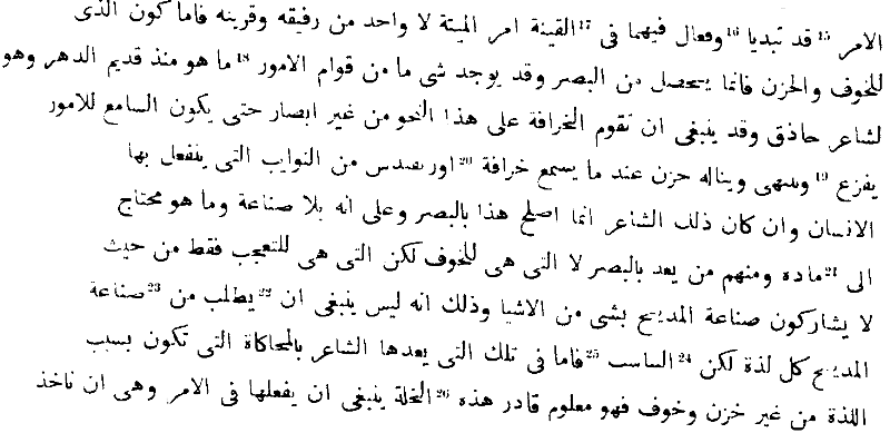 Die arabische Uebersetzung der Poetik des Aristoteles